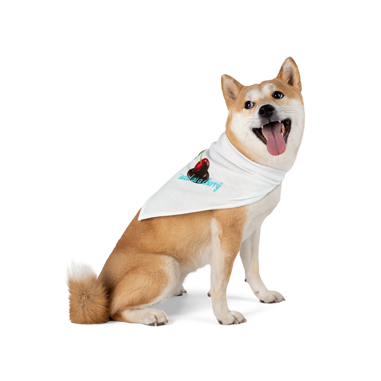 Cherry Pet Bandana – "wild as a berry" Cute Dog & Cat Accessory