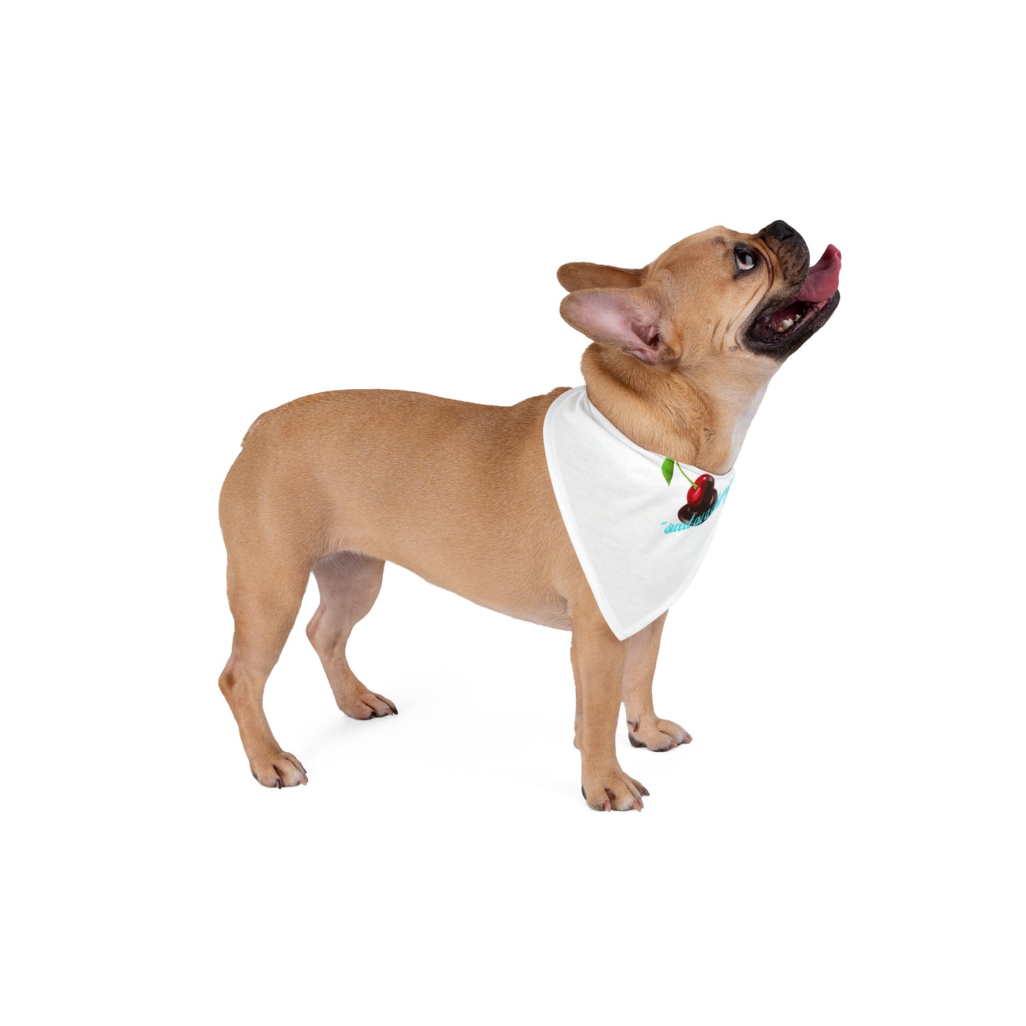 Cherry Pet Bandana – "wild as a berry" Cute Dog & Cat Accessory